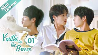 [ENG SUB] Youths in the Breeze 01 - The Boy and the Cat (Lei Haoxiang, Jing Yanjun) Cute Boys' Love