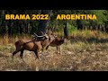 BRAMA 2022 ARGENTINA