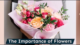 The Importance Of Flowers Little