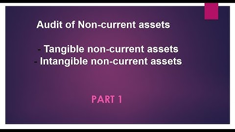 Non Current Assets