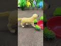 Mini Home Animal Water Pump Trector video #minitractor #waterpump #home #shorts