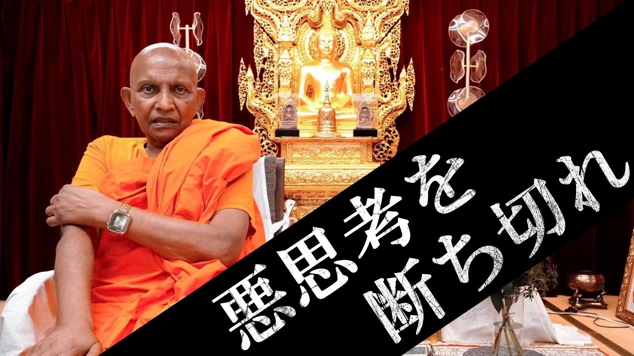 悪思考の流れは直ちに断ち切ること　心の動揺を放置すると危険です｜スマナサーラ長老の初期仏教Q&A #jtba #妄想 #怒り #慈悲の瞑想