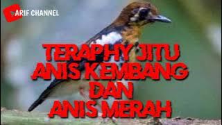 Master teraphy anis kembang & anis merah