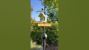 Our Birdfy Metal smart feeder is open for business! #smarthome #birdwatching