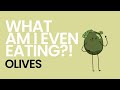 History of Olives - What Am I Even Eating?!