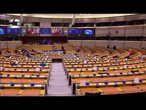 „ევროკავშირის დახმარება უპირობო არ არის და დაკავშირებულია  ადგილზე მიღწეულ კონკრეტულ პროგრესზე“