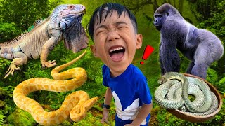 งูหลามยักษ์ กิ้งก่า อีกัวน่า คิงคอง บ้านเต่ายักษ์ เที่ยวสวนสัตว์พาต้า | พี่โฟล์คและน้องแฝด