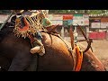 Natural || Rodeo Horse Music Video