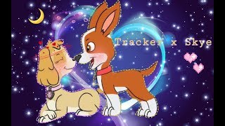 🌺Tracker &amp; Skye🌺~ for GREEN TEA/💌Трекер и Скай💌~ для GREEN TEA.