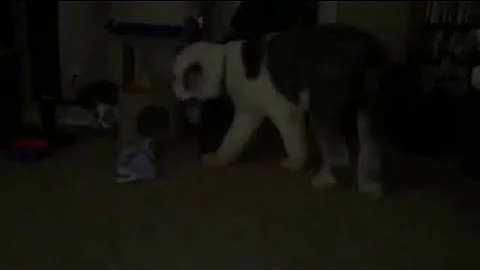 Winston and Kida