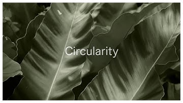 Designing for the Future: Circularity
