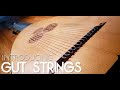 Introducing: Gut Strings