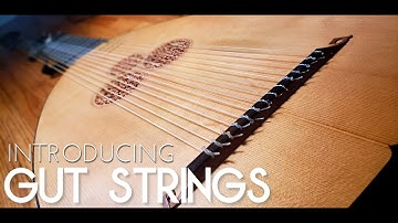 Introducing: Gut Strings