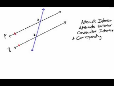 How To Find Parallel Line Angles Corresponding Consecutive Interior