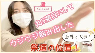 #44【ペットロス】遠く離れてしまう気がする・・・祭壇の位置問題