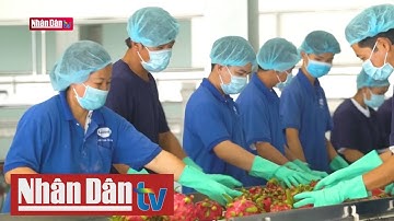 Sử dụng hiệu quả công cụ phòng vệ thương mại trong bối cảnh hội nhập