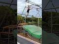 SASUKEトレ【ドラゴングライダー】毎週通いたくなる日本一のセット内宮パーク#sasuke ##ninja #ninjawarrior #training #shorts #diy #日本一