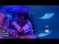 A sea life adventure