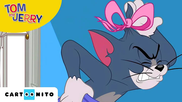 Tom und Jerry | Krieg der Streiche | Boomerang