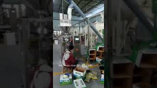 Automatic 5Kg Powder Auger Filling Bag Big Pouch Sealing Packaging Machine Powder Bagging Equipment