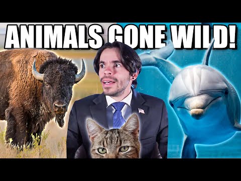 Table News: Animals Gone Wild!