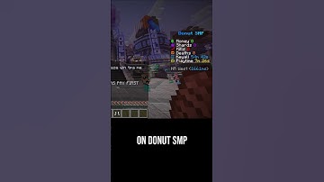 How to Hide the Chat on Donut SMP