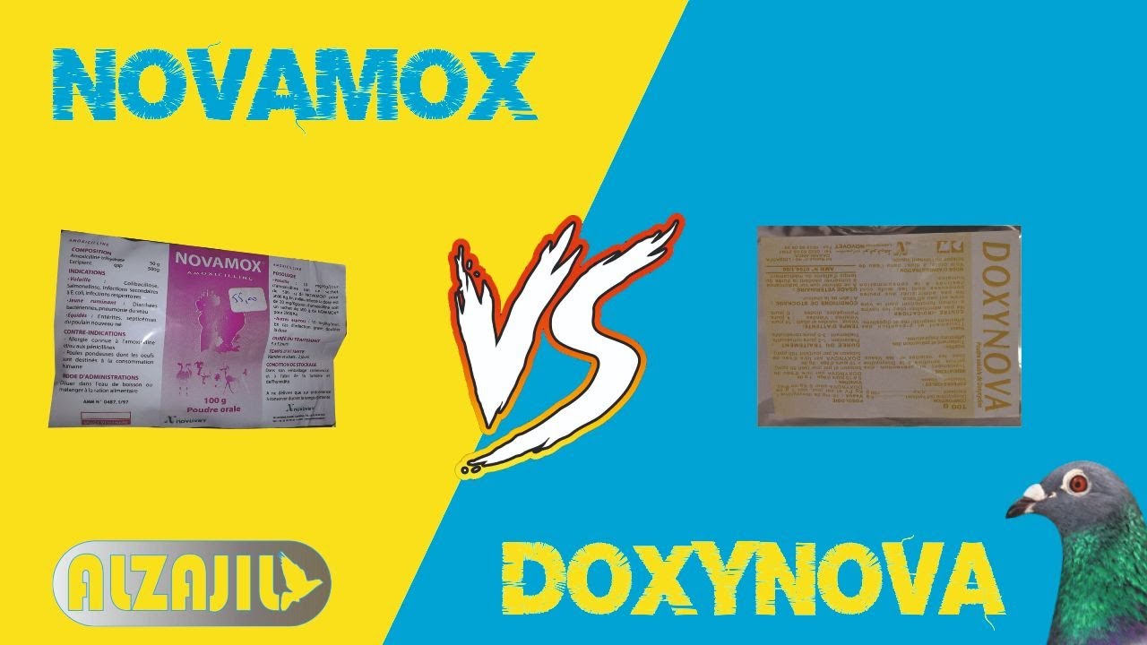 اجي تفهم الفرق بين دواء نوفاموكس و دوكسينوفا ؟الادوية البيطرية في علاج امراض الحمام الزاجل