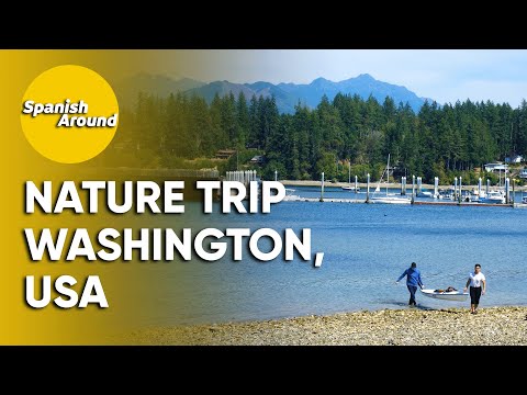 Nature trip in Washington, USA! | Street Spanish 40