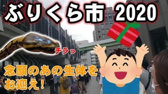 ぶりくら Youtube