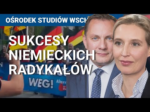 Wideo: Partia „Alternatywa dla Niemiec”: program, stosunek do Rosji