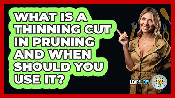 What Is A Thinning Cut In Pruning And When Should You Use It? - LearnToDIY360.com