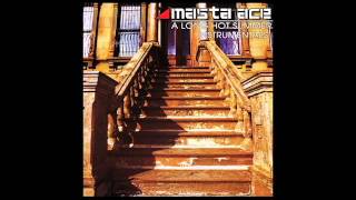 Masta Ace - Bklyn Masala Instrumental