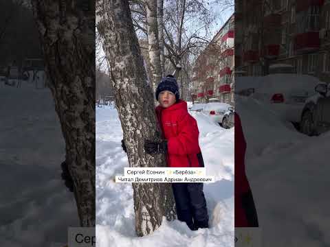 Сергей Есенин «Берёза» #белаябереза #стихи #alisa_demitrieva @happy_adri