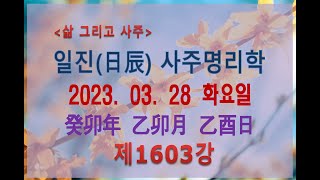 [출산택일/일진사주명리학]_제1603강_2023년 03월 28일(계묘년 을묘월 을유일)_을목 묘월생 을유일주