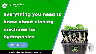 Everything You Need to Know About Cloning Machines for Hydroponics—HydroponicsTown Guide
