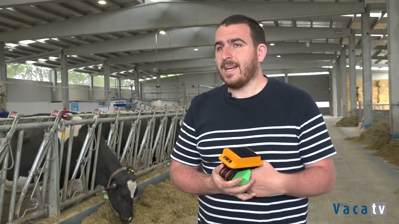 ¿Qué es Rumi? Sistema de monitorización y gps de ganado | Vaca TV