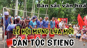 Lễ Hội Mừng Lúa Mới, Nét Văn Hoá Đặc Sắc Của Người Dân Tộc STiêng Bình Phước