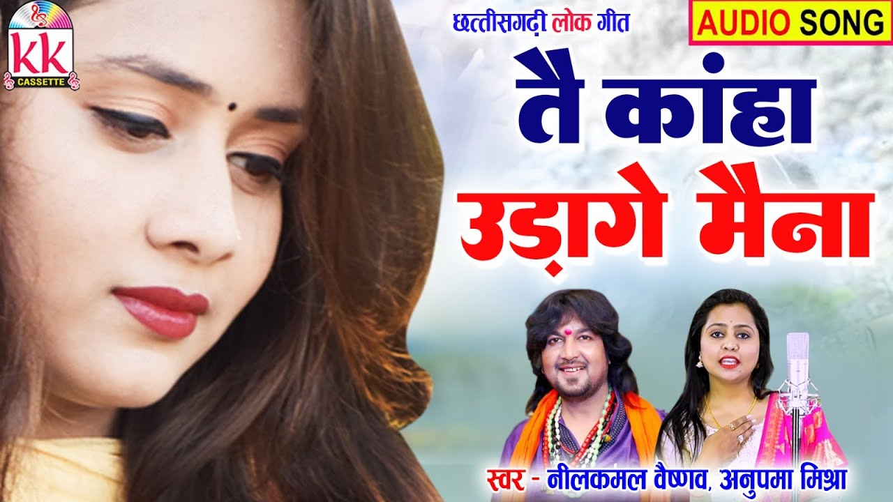 Neelkamal Vaishnav | Anupama Mishra | Cg Song | Tai Kaha Uadge Re Maina | KK CASSETTE CG SONG