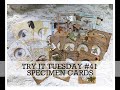 TRY IT TUESDAY #41   Specimen/coin cards Loads of Techniques