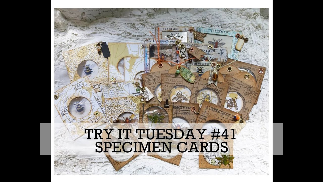 TRY IT TUESDAY #41   Specimen/coin cards Loads of Techniques