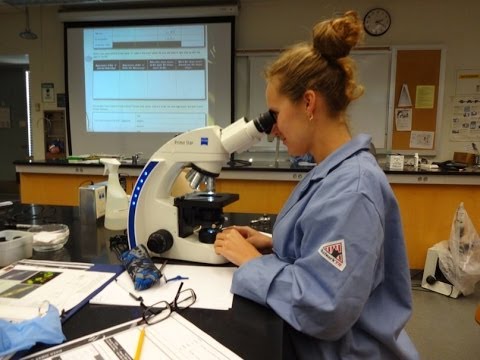 колледж микробиологии. вирусология микробиология. колледж микробиологии. научная лаборатория. мгу медицинский факультет внутри.