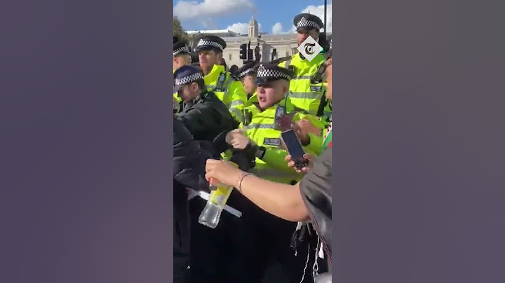 Tensions rise as police clash with pro-Palestine protesters in London