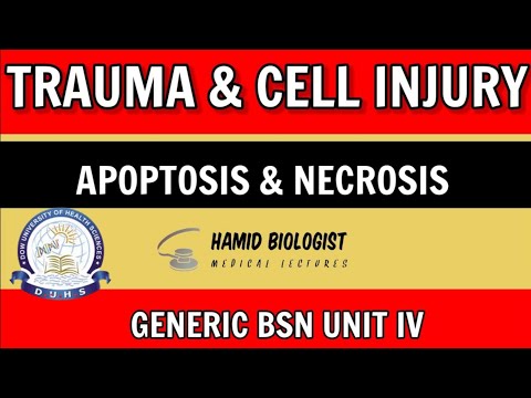 Trauma and cell injury in Urdu/hindi| Unit4 pathophysiology ||Apoptosis and necrosis| generic bsn