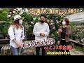 バラの選び方❕育て方について教えて❕How to choose roses! & how to grow roses!🌹