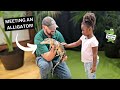 Meeting a Rescued Alligator!