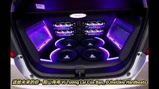 送给未来的你 - 阳山伟伟 Vì Tương Lai Của Bạn_ DJnelzkie Hardbeats