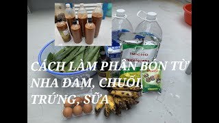 Top 14 Cách Làm Dịch Chuối Nha Đam Hay Nhất Năm 2022