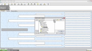 Importing  a GEDCOM File into RootsMagic
