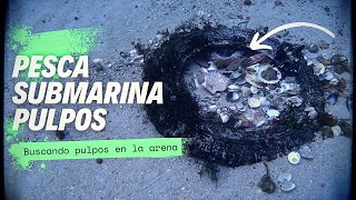 💥PULPOS DEL ATLÁNTICO // PESCA SUBMARINA GALICIA