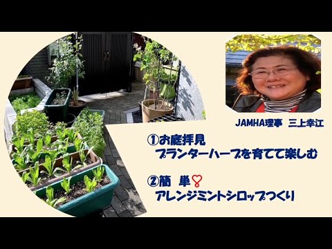 プランターハーブを育てて楽しむ 簡単 アレンジミントシロップ作り Youtube プランターハーブを育てて楽しむ 簡単 アレンジミントシロップ作り Youtube